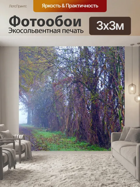 Фотообои Туман