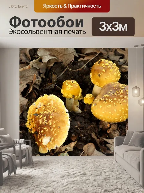 Фотообои Драгоценные грибы Мухомор