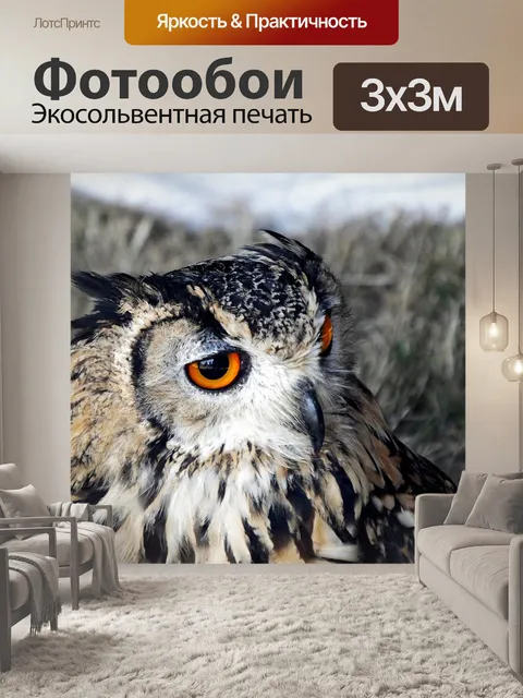 Фотообои Птица