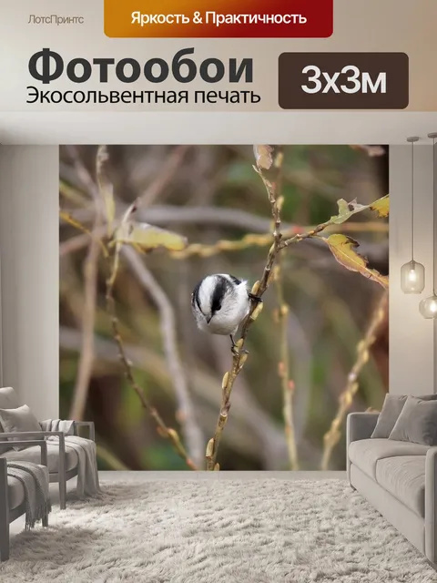 Фотообои Животное