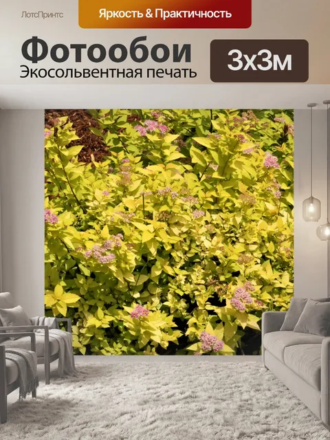 Фотообои Кустарник желтой спиреи