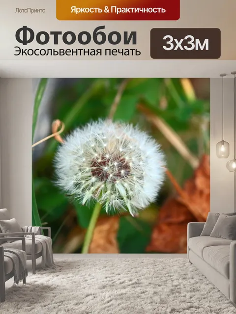 Фотообои нежный белый пух семян одуванчика