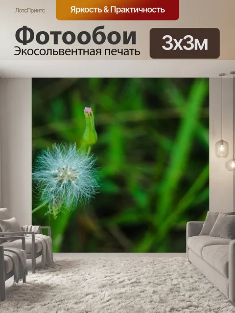 Фотообои фон маленький полевой цветок