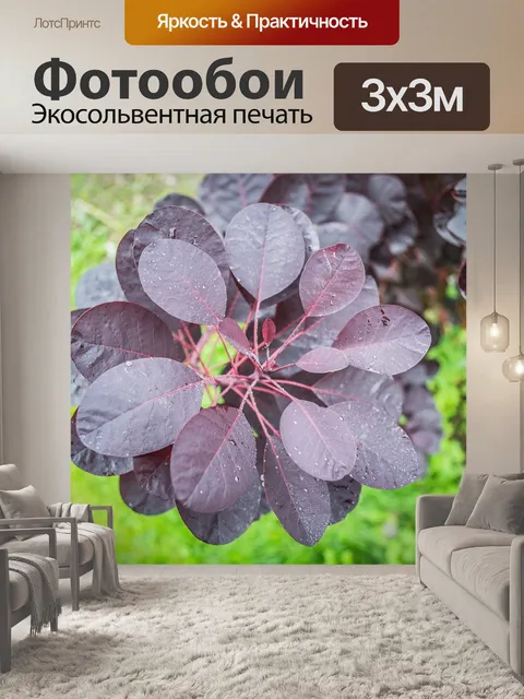 Фотообои Листья