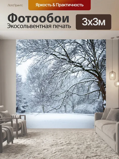 Фотообои Зима Времена года