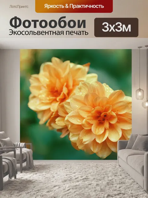 Фотообои Цветы георгина цветут апельсин