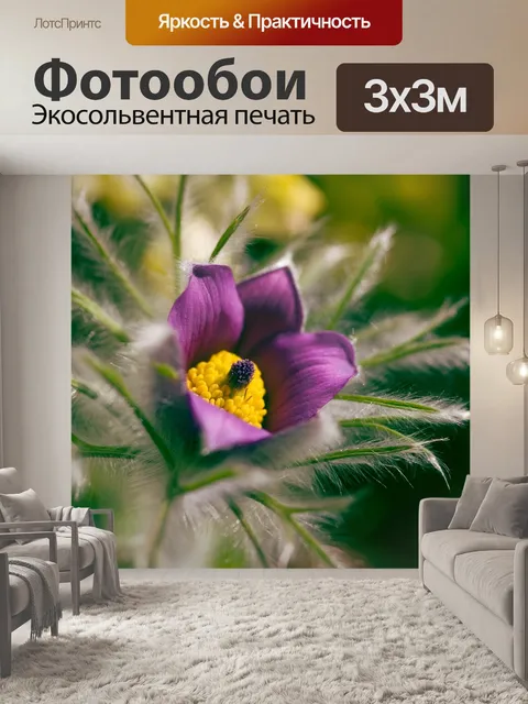 Фотообои Цветы