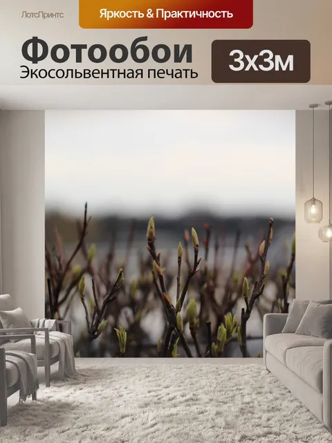 Фотообои Бутоны