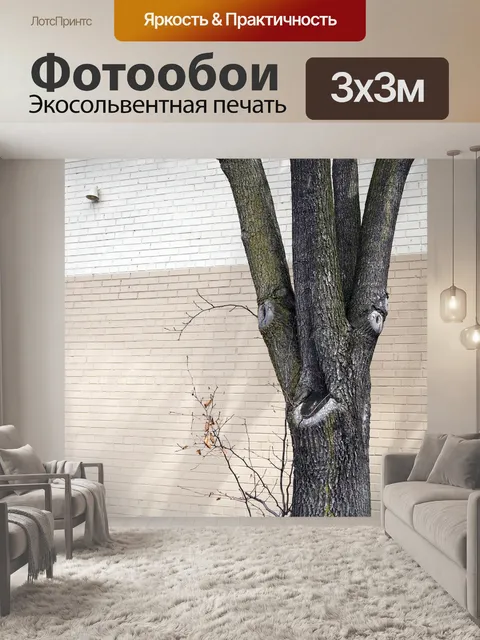 Фотообои Дерево