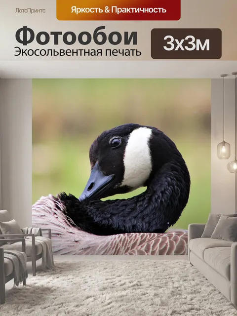 Фотообои Гусь