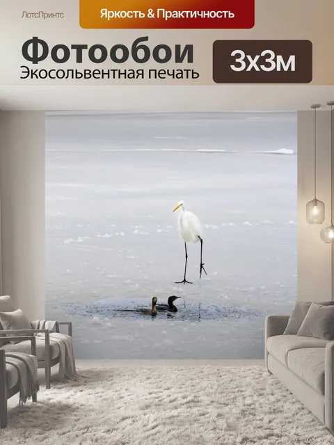 Фотообои Черно-белый