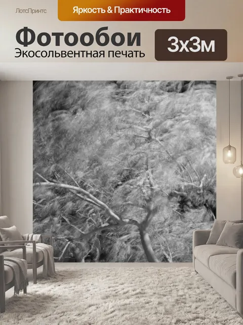 Фотообои Черное и белое