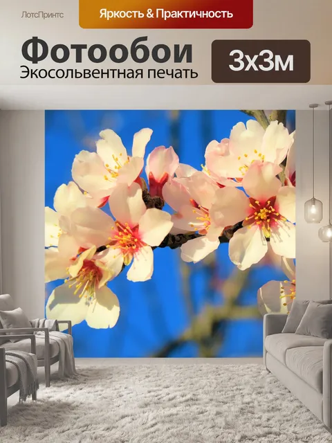 Фотообои Цветы
