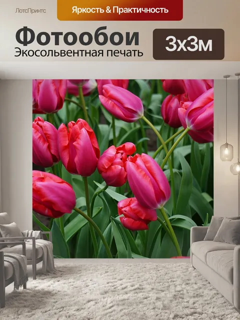 Фотообои Тюльпаны
