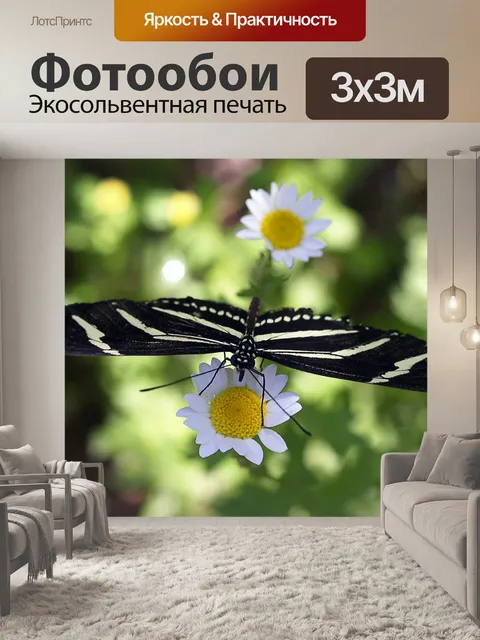 Фотообои Бабочка