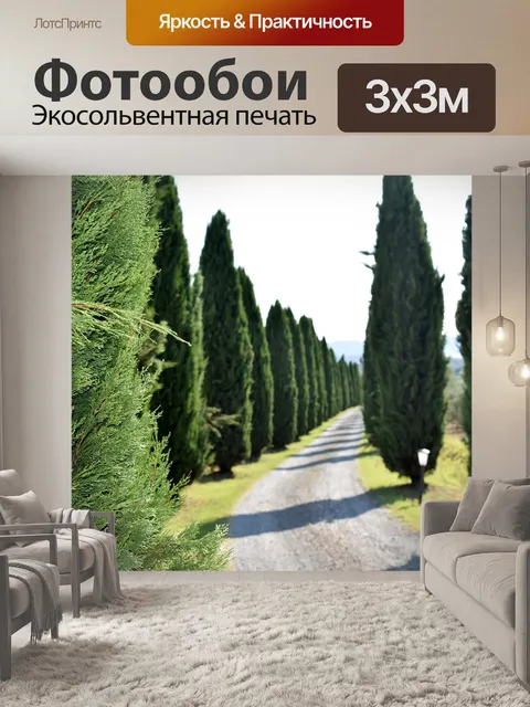 Фотообои Кипарисы