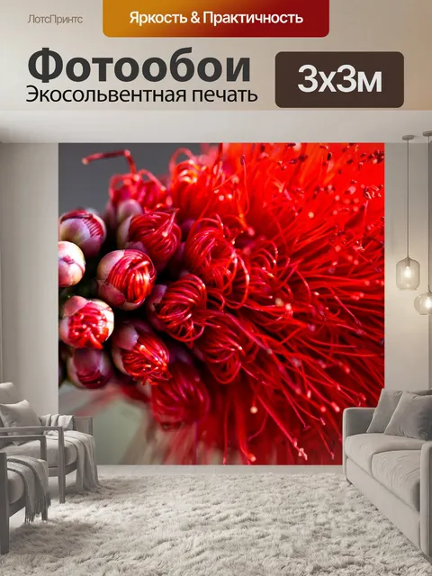 Фотообои Цветы