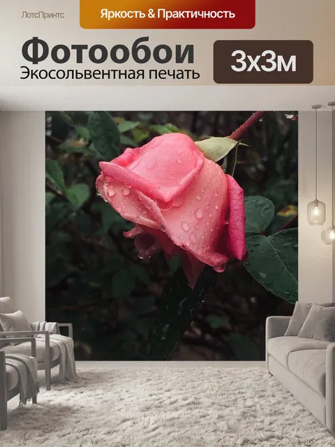 Фотообои Роза