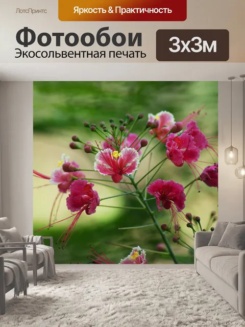 Фотообои Южный Гоа, цветы