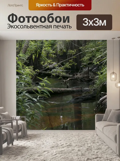 Фотообои Ручей