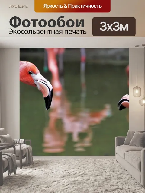 Фотообои Птицы