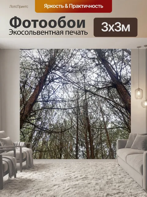 Фотообои Лес