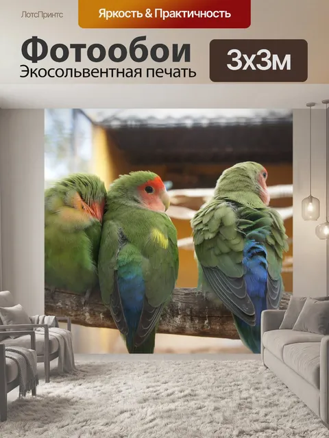 Фотообои Попугаи