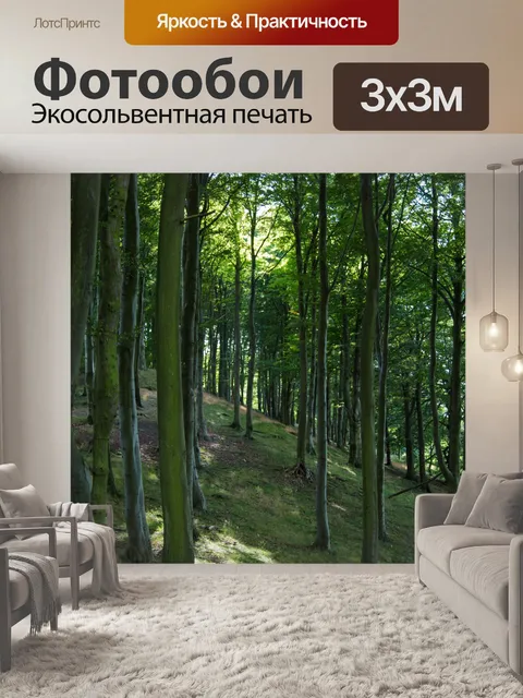 Фотообои лес