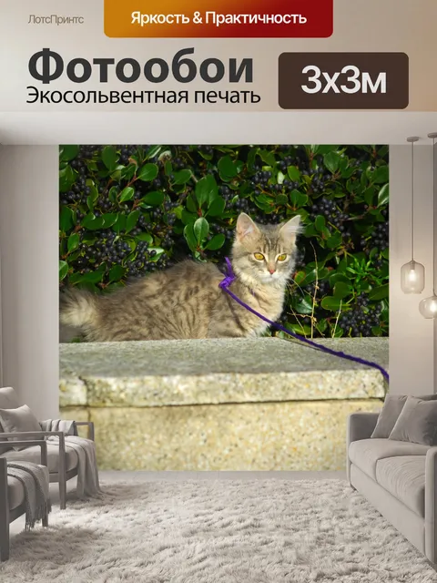 Фотообои Просмотр кошки