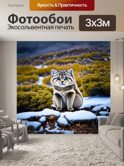 Фотообои манул, расправляющий свои лапы в первозданной природе монголии, его глаза ярко сверкают на фоне компактных…
