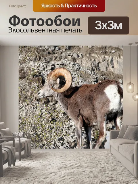 Фотообои Горный козел