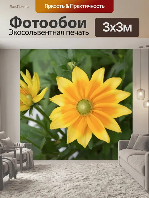 Фотообои Цветы