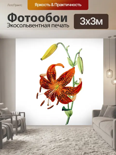 Фотообои Клипарт цветок старинное искусство