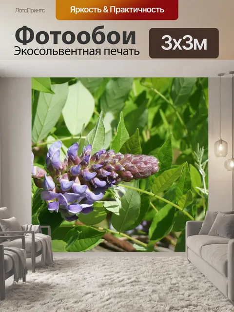 Фотообои Цветы