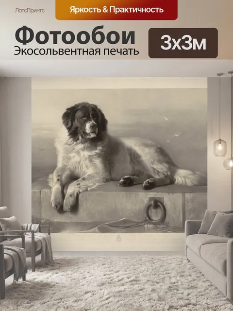 Фотообои Сенбернар лежит на мосту с собакой