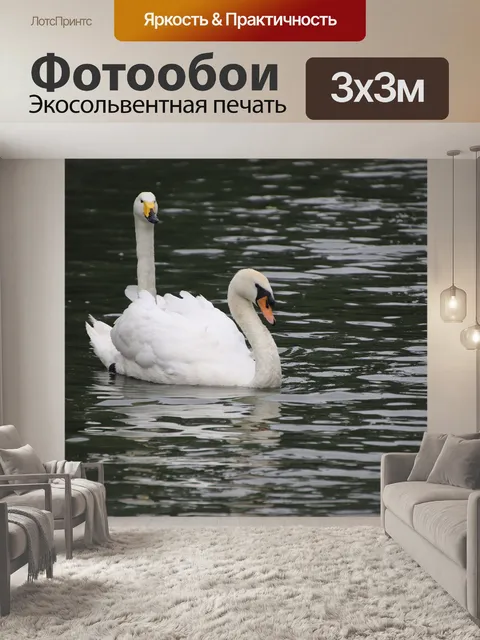 Фотообои Лебеди