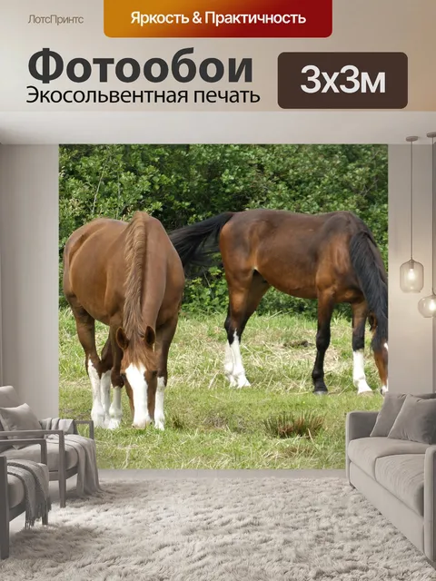 Фотообои Лошади