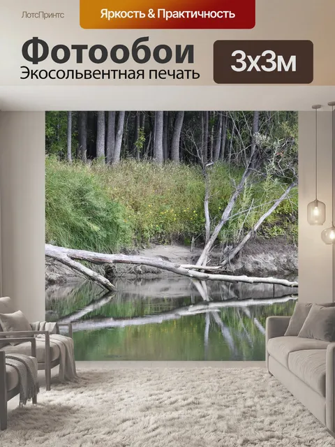 Фотообои Лес