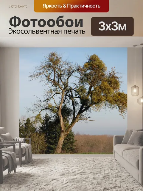 Фотообои Дерево