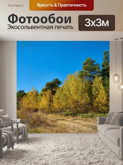 Фотообои Лес