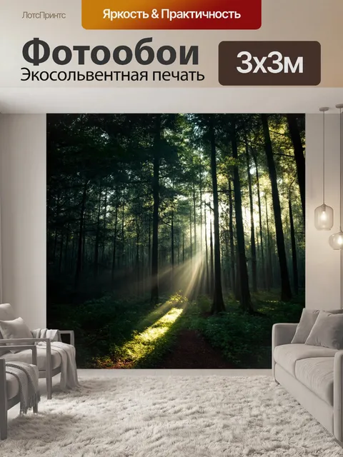 фотообои лес в стиле минимализм с темным лесом и яркими лучами света