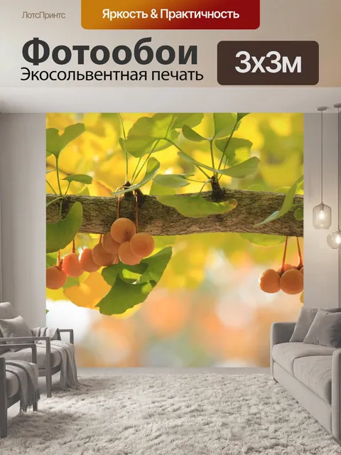 Фотообои Дерево гинкго