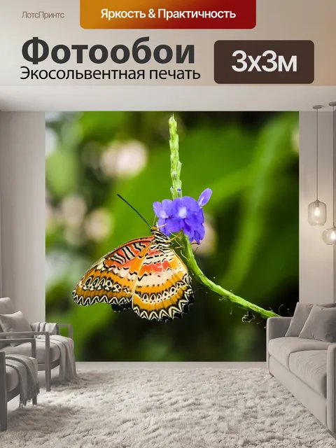 Фотообои Бабочка