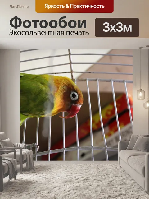 Фотообои Птица