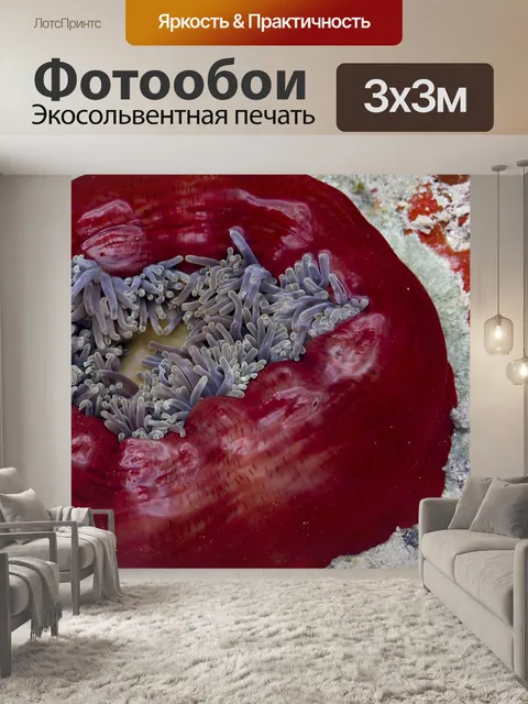 Фотообои Красочные anemony