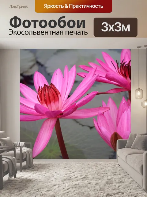Фотообои Цветок