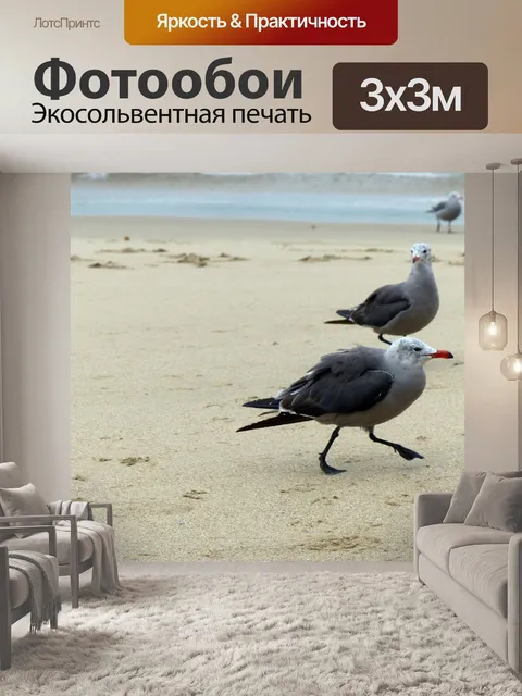 Фотообои Seagulls