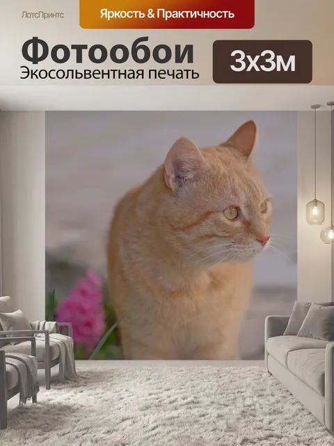 Фотообои Кошка