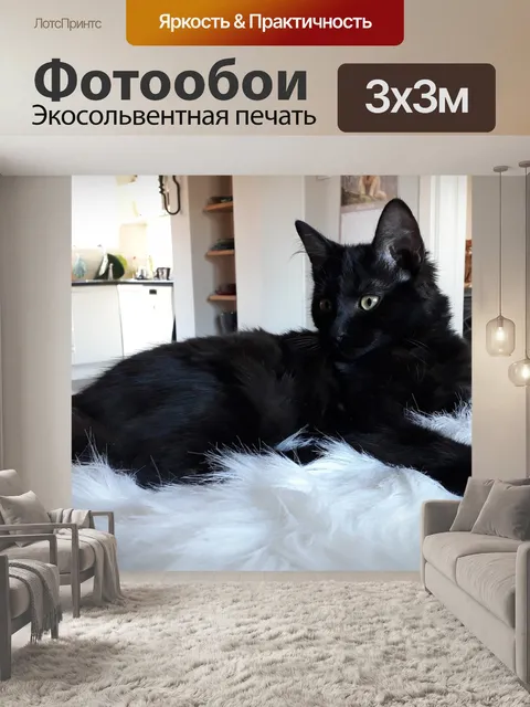 Фотообои Кошка