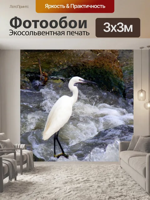 Фотообои Птицы